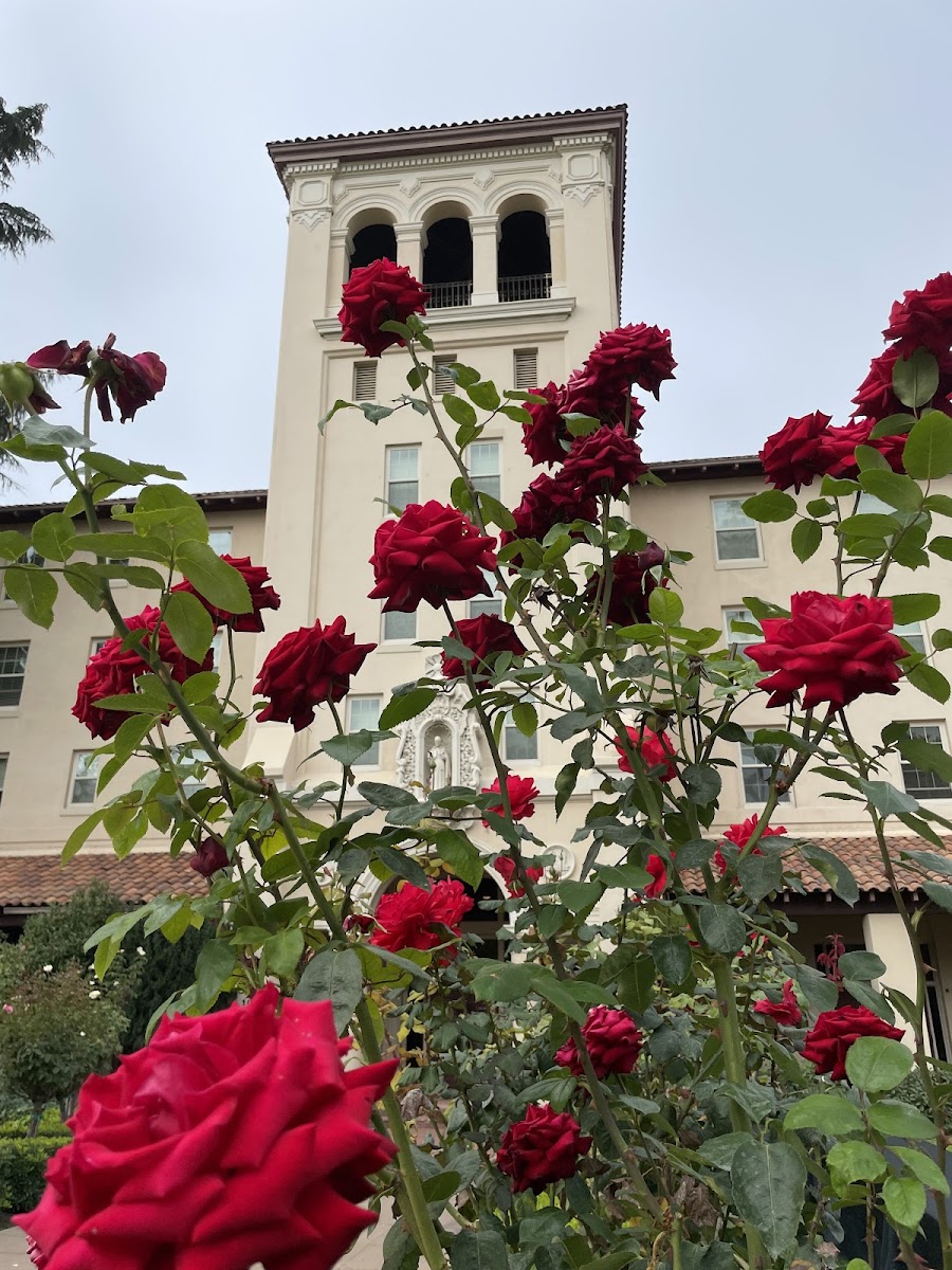 Adobe Lodge - Mission Santa Clara de Asís - wedding venue in Santa Clara, CA